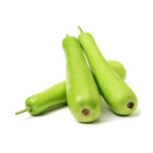 Bottle Gourd (દૂધી) 1 pc