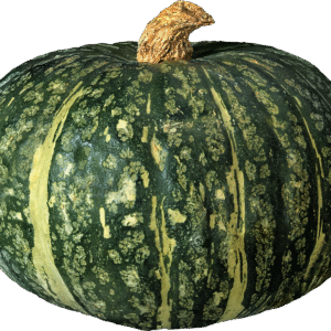 Pumpkin (કોળું) (500gm)